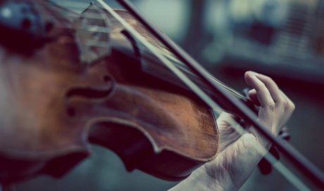  Acheter un violon restauré et révisé pour un musicien confirmé - Lyon - LUTHIERS F. TRANIN ET D. CAMARD 
