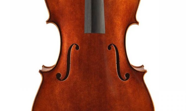 violoncelle rudolph