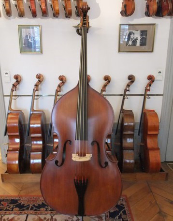 Location d'instruments de musique à cordes - Tranin luthier à Lyon
